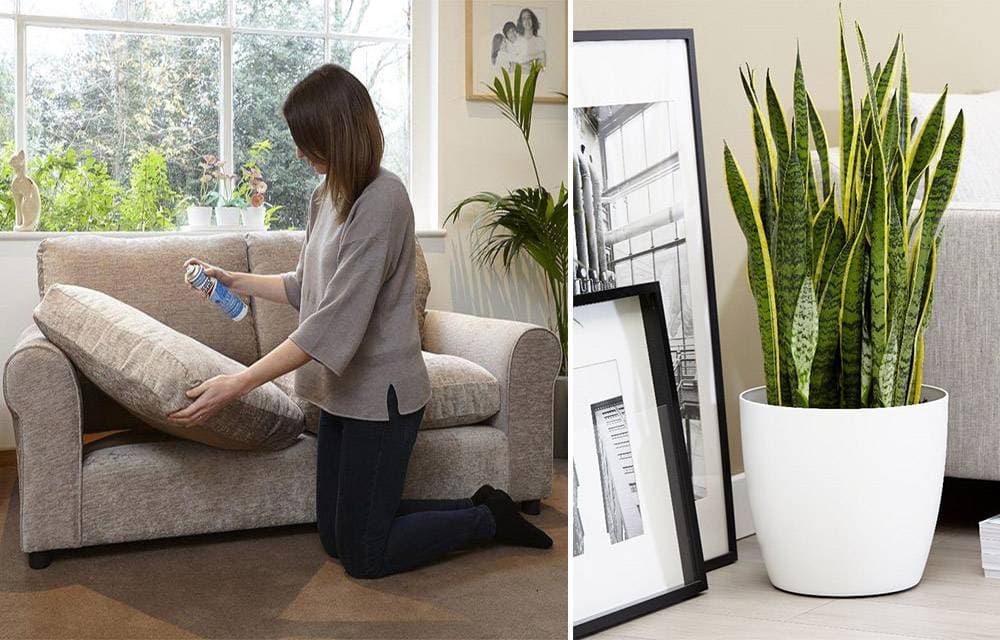 Năm mới sống khỏe cùng hàng loạt gợi ý dọn dẹp giúp thanh lọc không khí trong nhà
