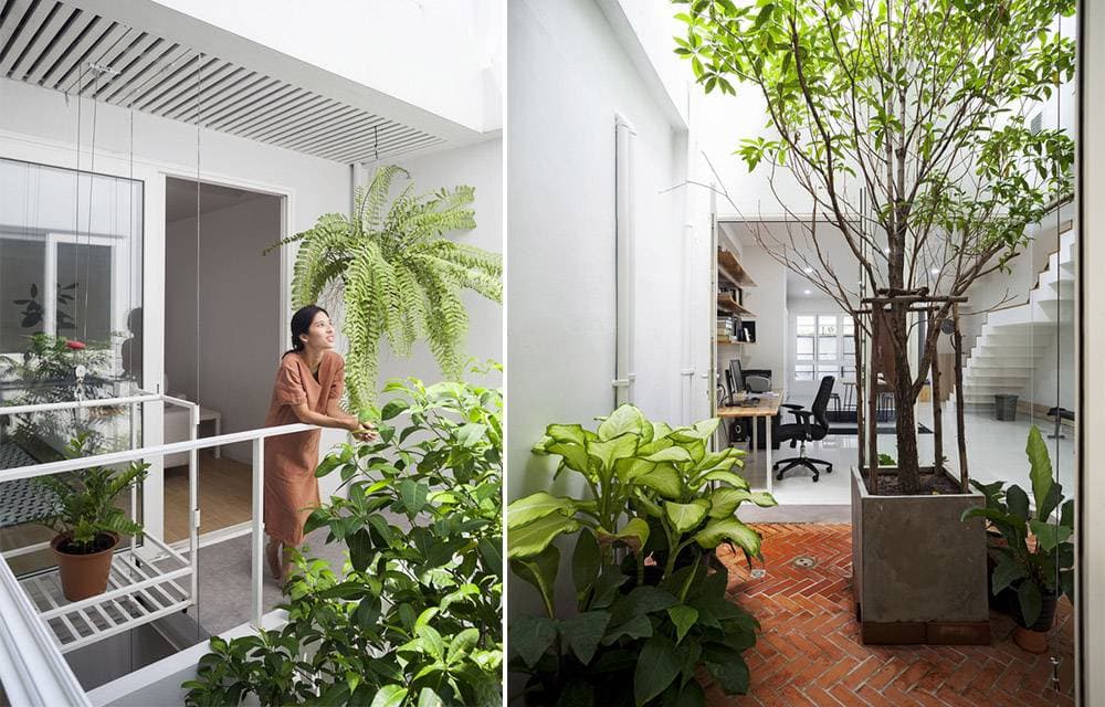 Bonsai House: Sau 15 năm bỏ hoang, ngôi nhà 300m2 lần nữa được tái sinh, là tổ ấm “xanh” của cặp vợ chồng trẻ