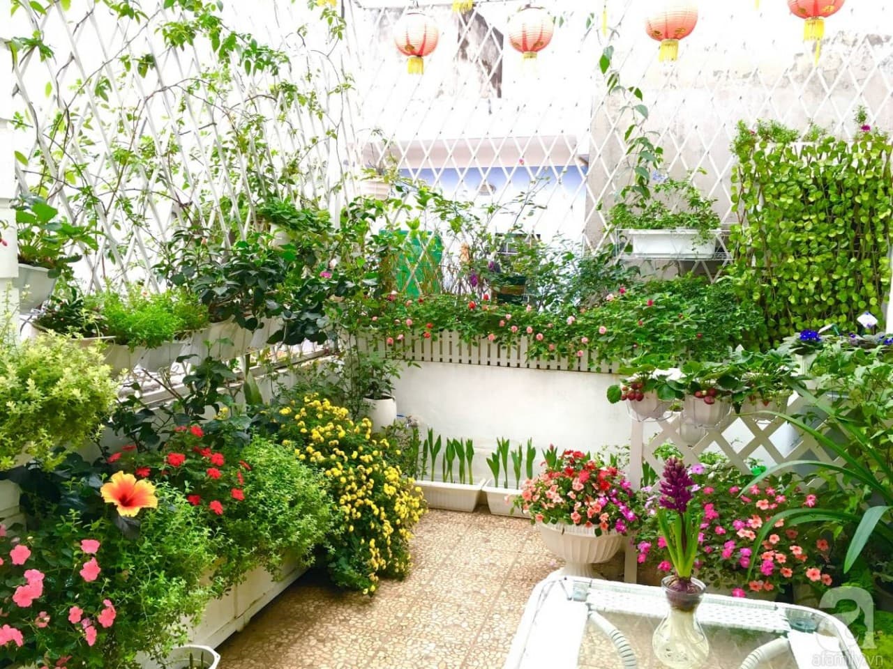 6 mẹo giúp bạn có khu vườn nhỏ xinh xanh mát và tràn đầy sức sống ngay giữa lòng đô thị chật hẹp