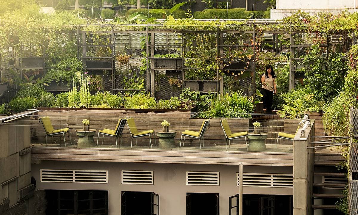 Thiết kế Biophilic tạo ra những công trình bền vững - Nơi con người hòa cùng thiên nhiên
