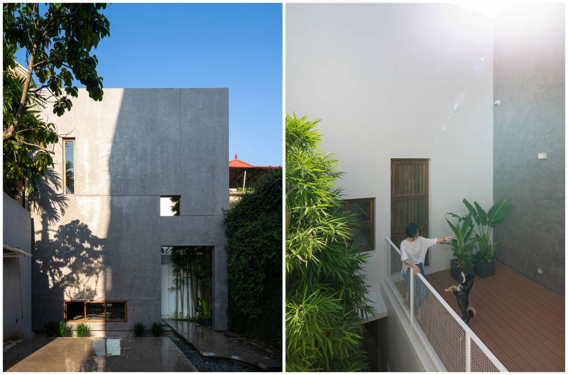 Nhà 8x24 với tường bao 9m của cặp vợ chồng hướng nội nhưng vẫn gần gũi thiên nhiên nhờ 3 khoảng sân xanh mát