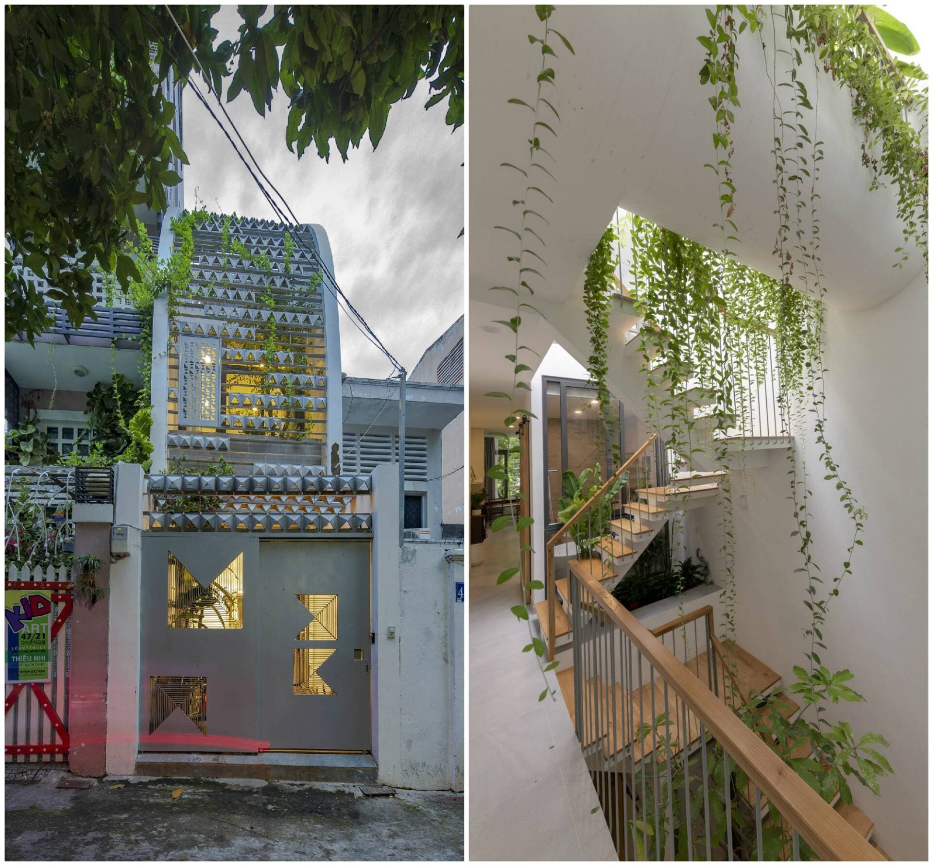 Anh House - Ngôi nhà hẹp ngang dài sâu với mặt tiền uốn cong lạ mắt