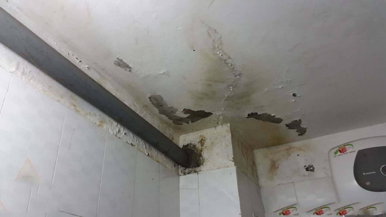 Vì sao cần chống thấm cho nhà ống, nhà phố? Gợi ý sơn chống thấm thích hợp với thời tiết Việt Nam