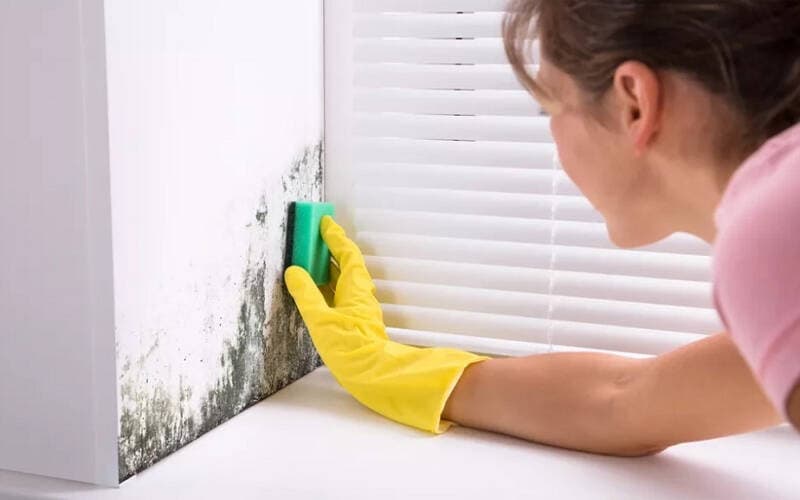 Cách vệ sinh tường nhà đơn giản nhưng không phải ai cũng biết