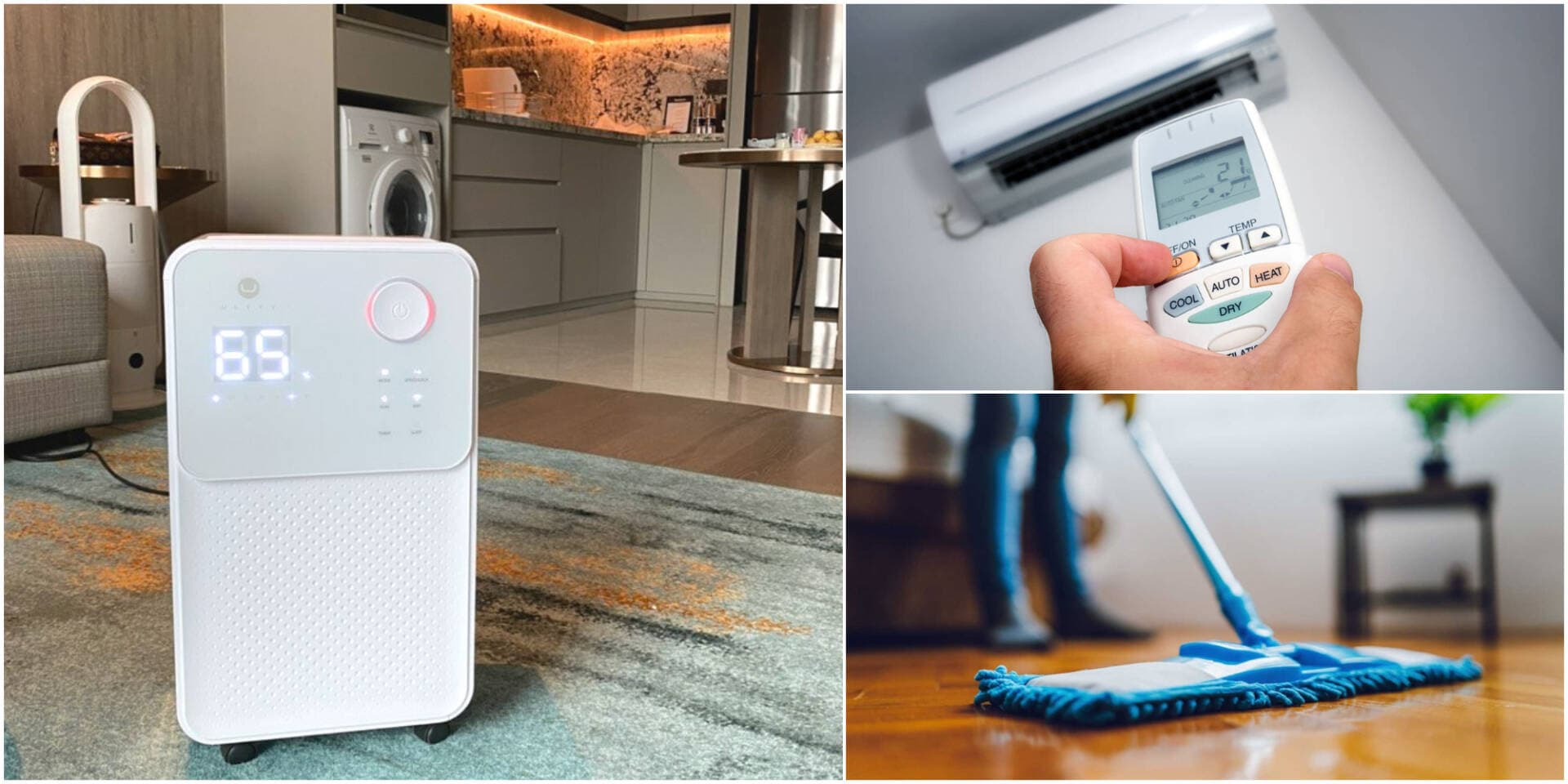 9 cách chống nồm trong nhà nhanh chóng, hiệu quả