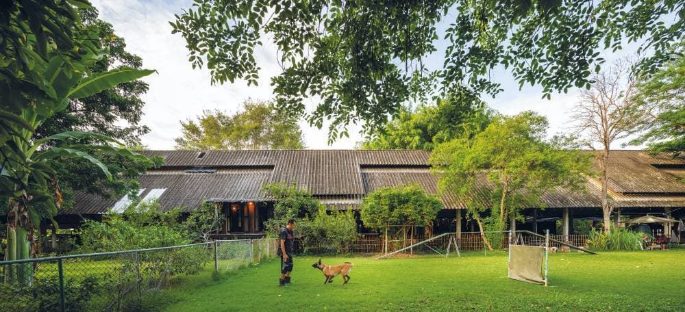 3 mẹ con về quê xây nhà, muốn trải nghiệm cuộc sống tự cung tự cấp