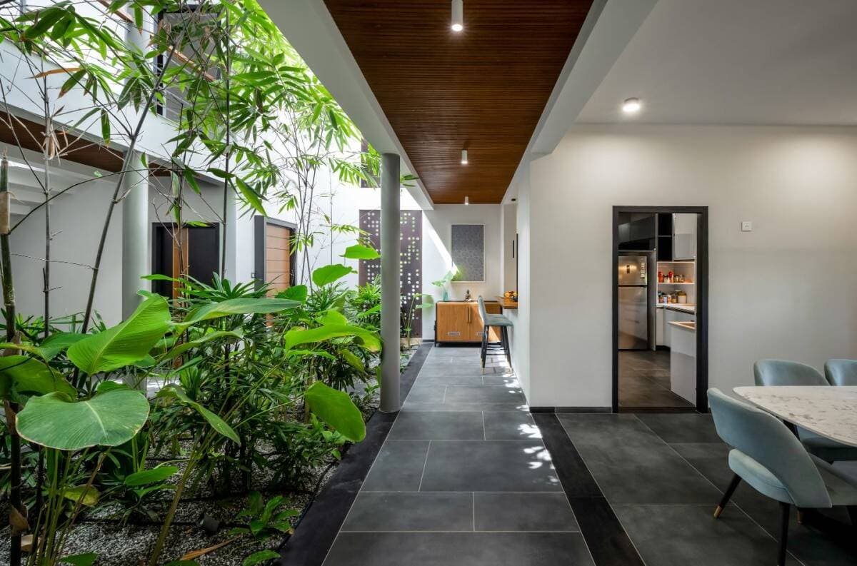 Skylight House thiết kế vườn quanh nhà để hạ nhiệt trong những ngày nóng