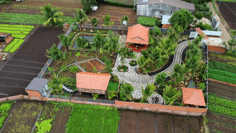 Chàng trai 9X dựng nhà vườn 1.000m2 ở Buôn Mê Thuột từ đá và gỗ cũ