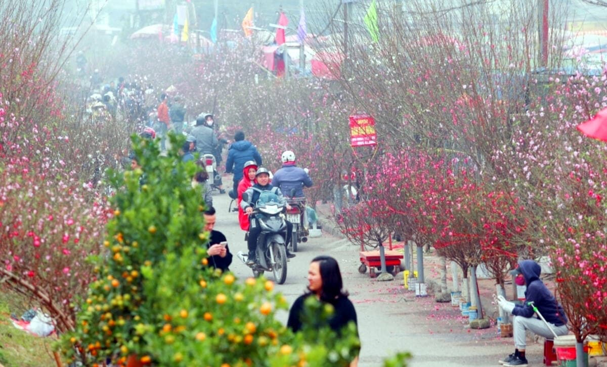 Thời tiết Tết Nguyên Đán 2025 ở 3 miền: nên chuẩn bị gì?