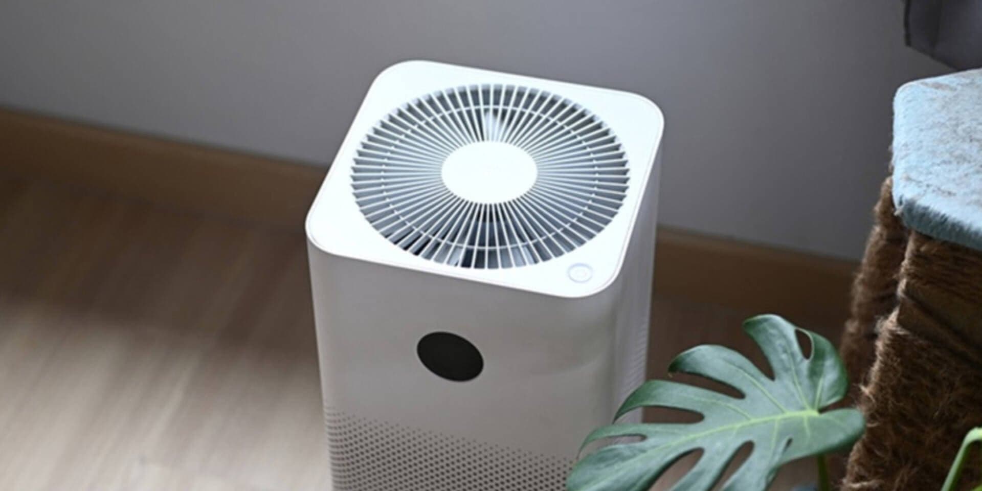 Nên mua máy hút ẩm hay máy lọc không khí cho gia đình?