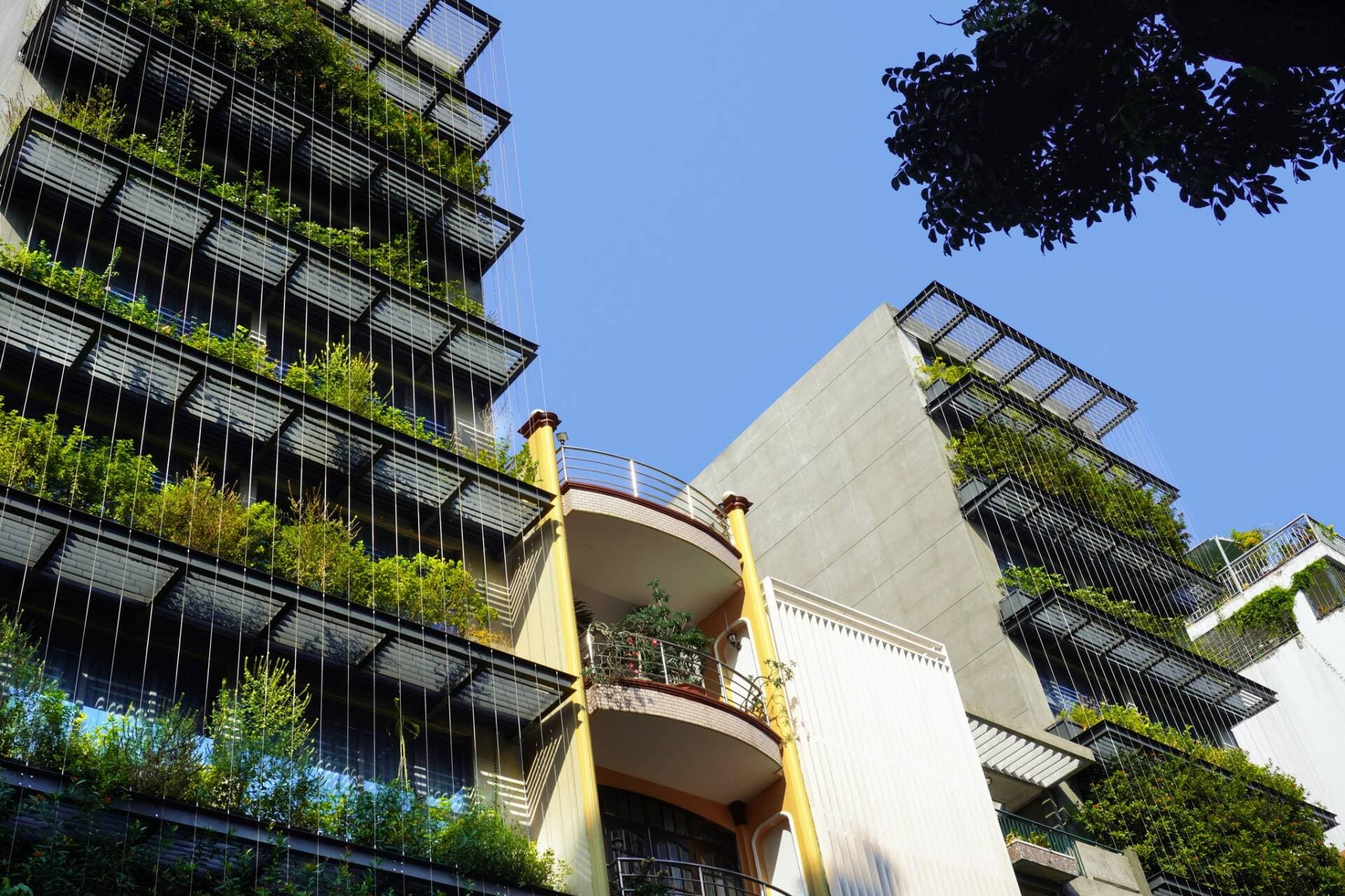 Triple E Hotel: Khách sạn xanh giữa lòng Sài Gòn với lớp màng lọc nhiệt đới ấn tượng