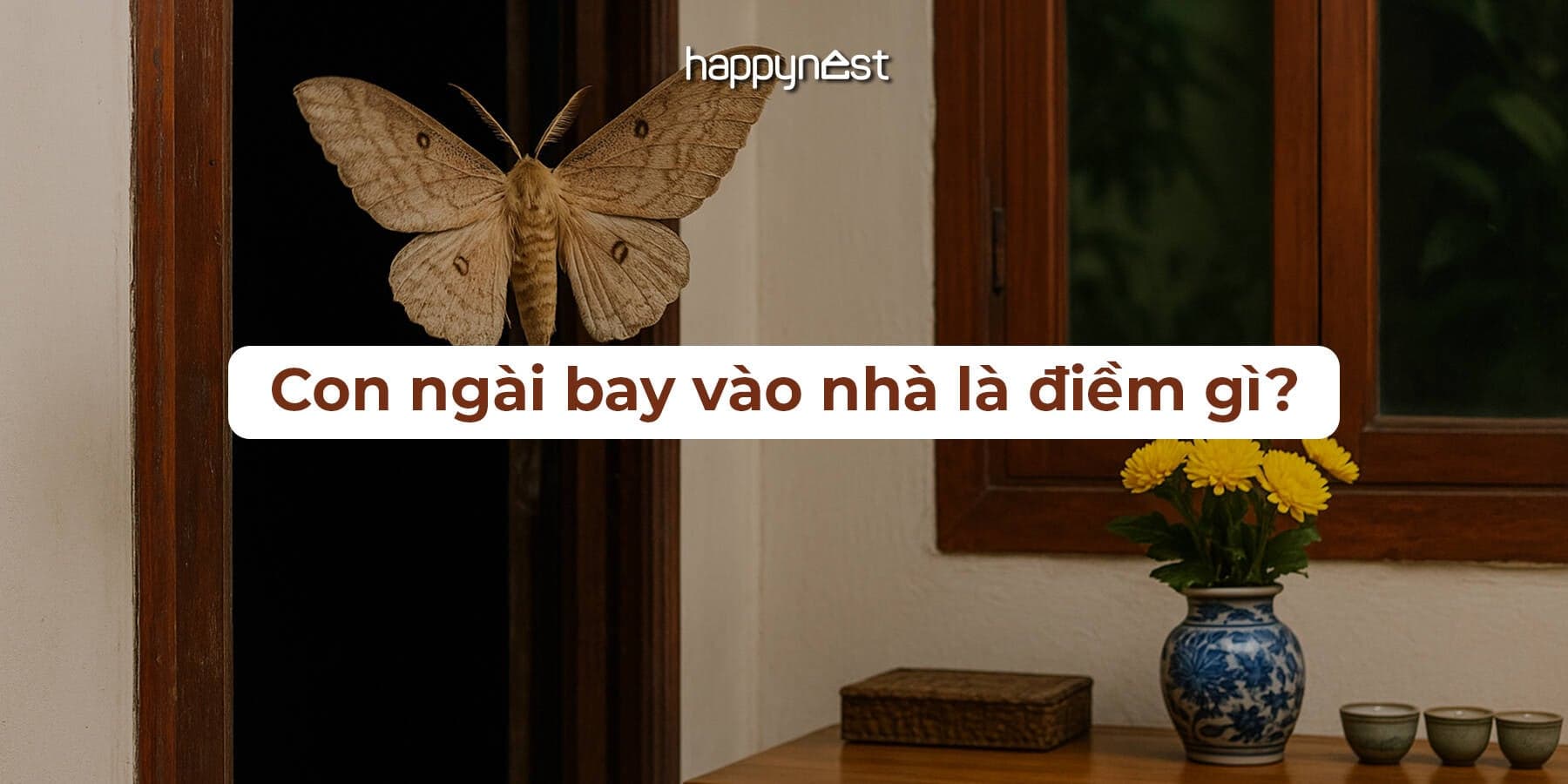 Con ngài bay vào nhà là điềm gì? Giải mã ý nghĩa tâm linh và khoa học theo màu sắc, thời điểm xuất hiện