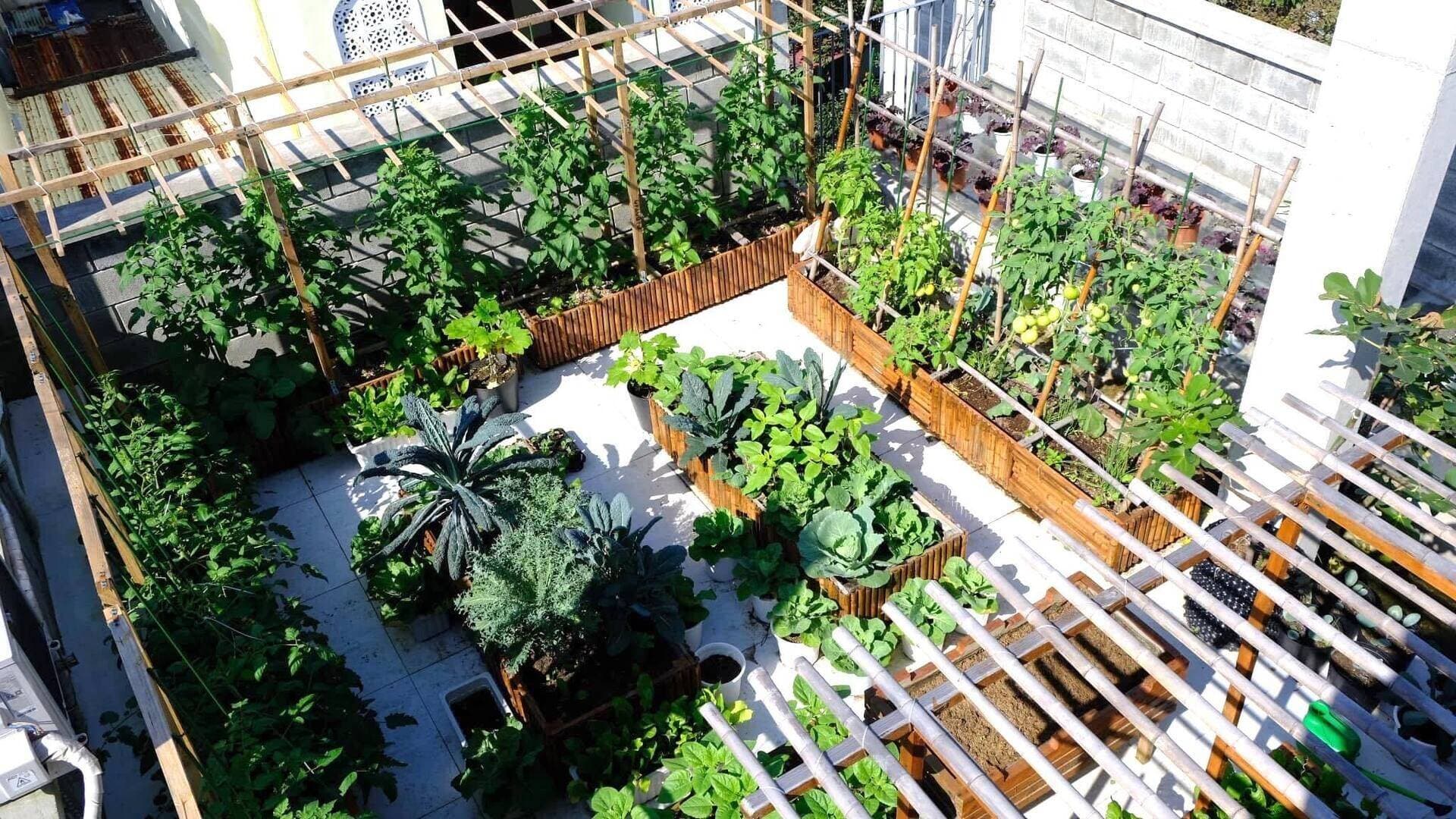 Vườn sân thượng 100m2 đẹp như tranh vẽ của nữ kiến trúc sư khiến ai cũng phải trầm trồ