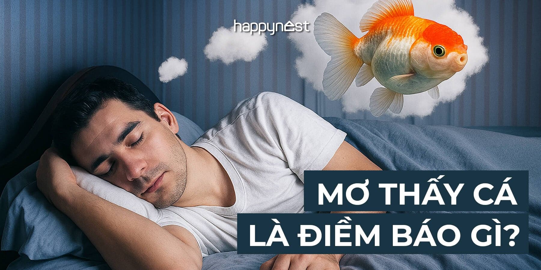 Giải mã giấc mơ thấy cá: Điềm báo, ý nghĩa và những con số may mắn