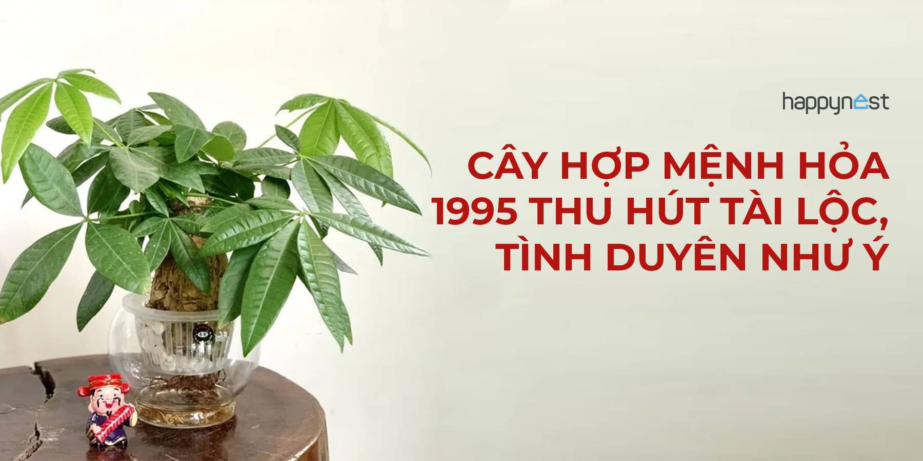 Tuổi Ất Hợi 1995 hợp cây gì? 10 loại cây phong thủy giúp người mệnh Hỏa hút tài lộc và bình an