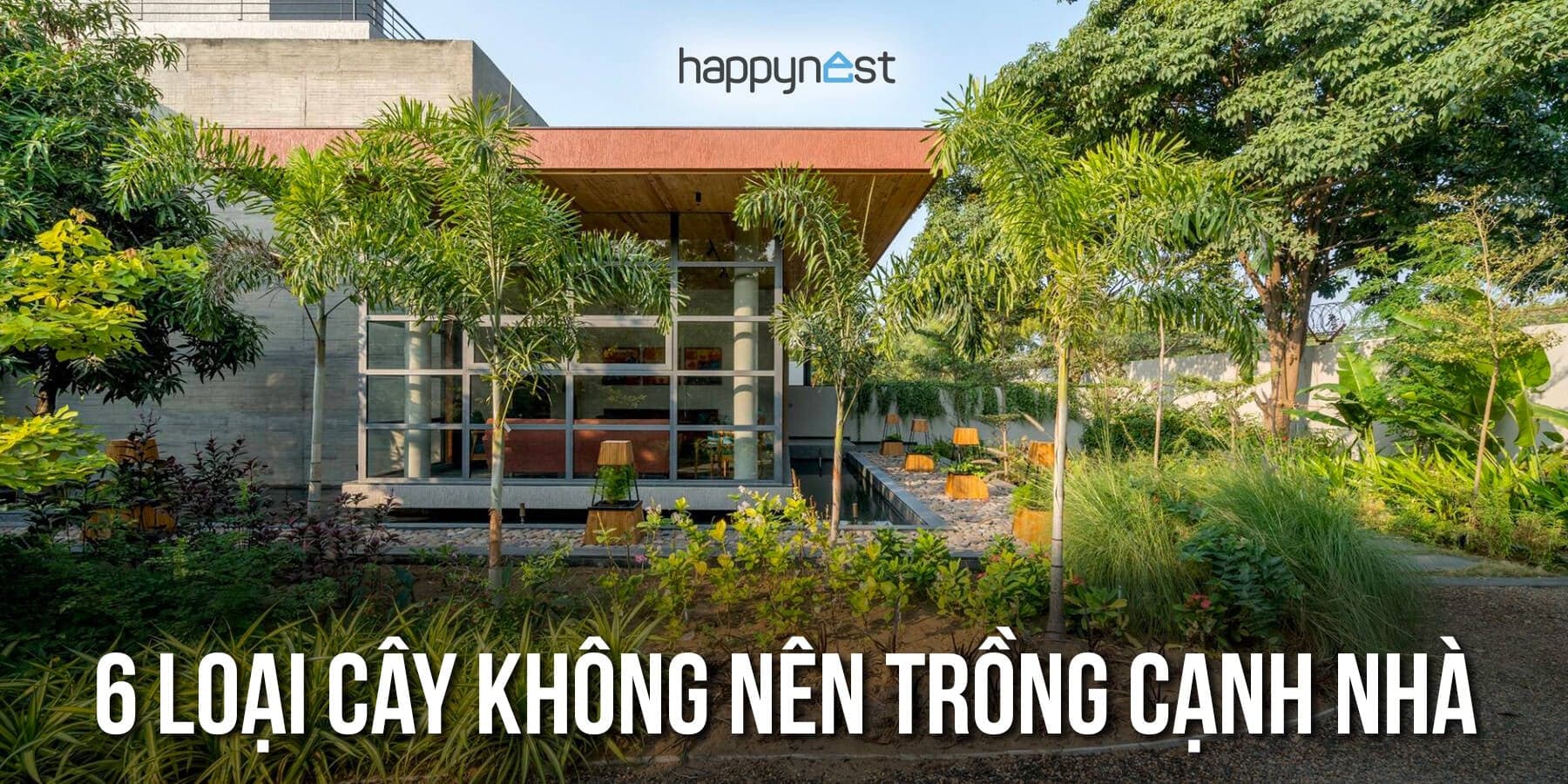 6 loại cây không nên trồng sát nhà: Rễ phá móng, cây độc và rủi ro cho trẻ nhỏ