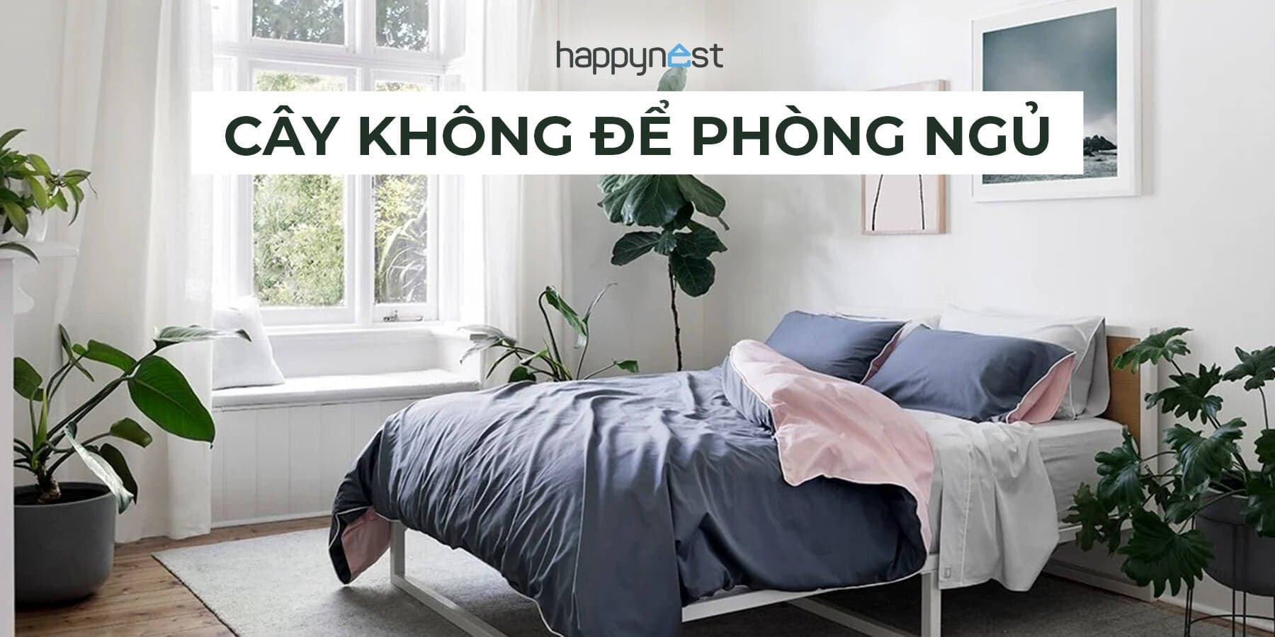 4 loại cây cảnh không nên đặt trong phòng ngủ để tránh ảnh hưởng sức khỏe và phong thủy