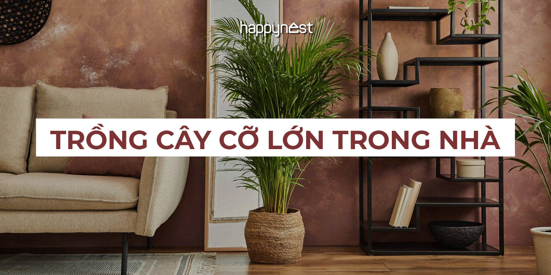 Cây siêu to đang thay thế decor truyền thống: 5 loại trồng trong nhà sang gấp đôi mà cực dễ chăm