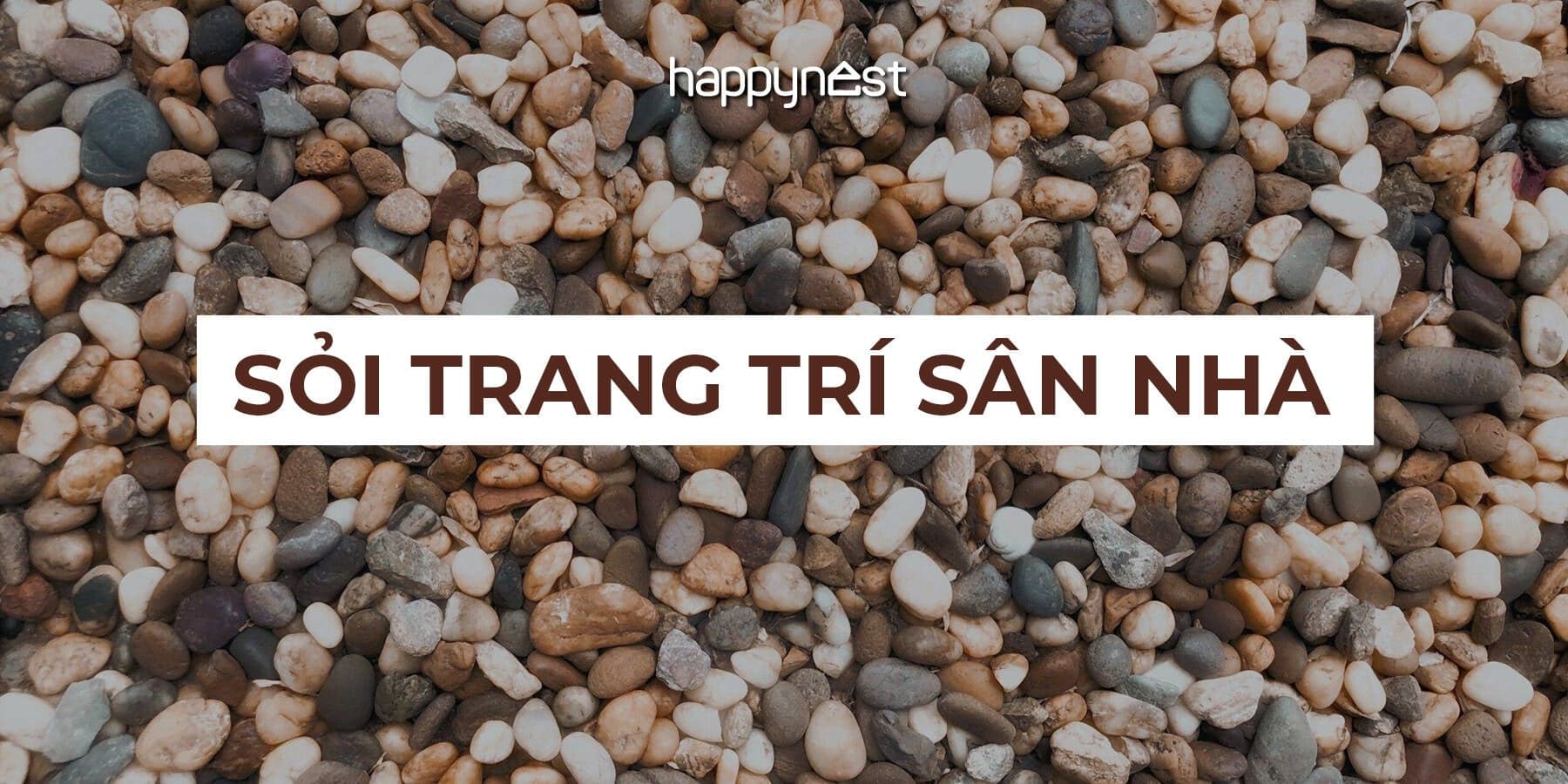 5 loại sỏi trang trí sân vườn phổ biến và cách chọn loại phù hợp nhất cho từng vị trí