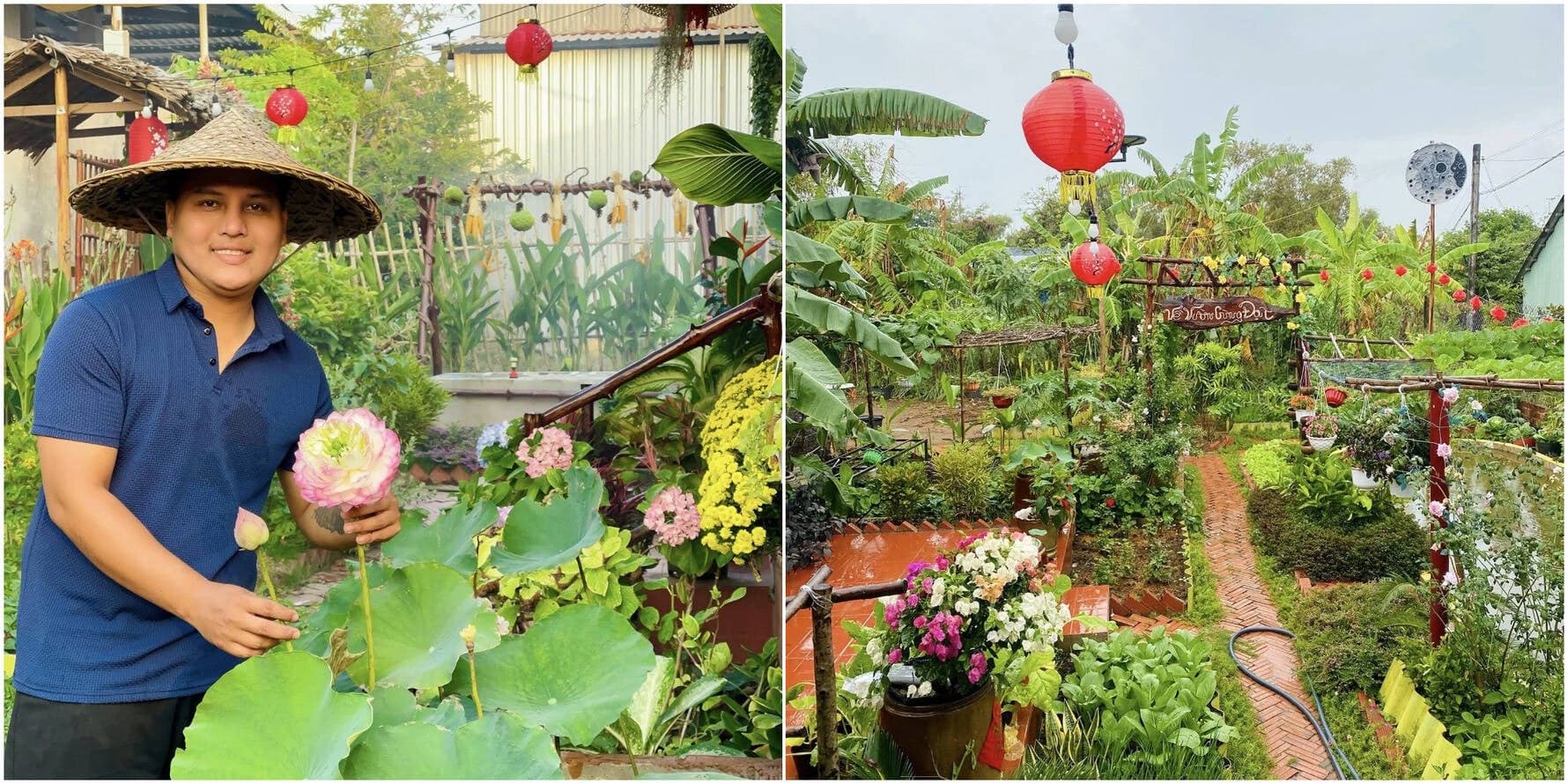 Chàng trai 28 tuổi cải tạo 600m2 đất hoang thành khu vườn xanh chỉ với hơn 100 triệu tại Vĩnh Long