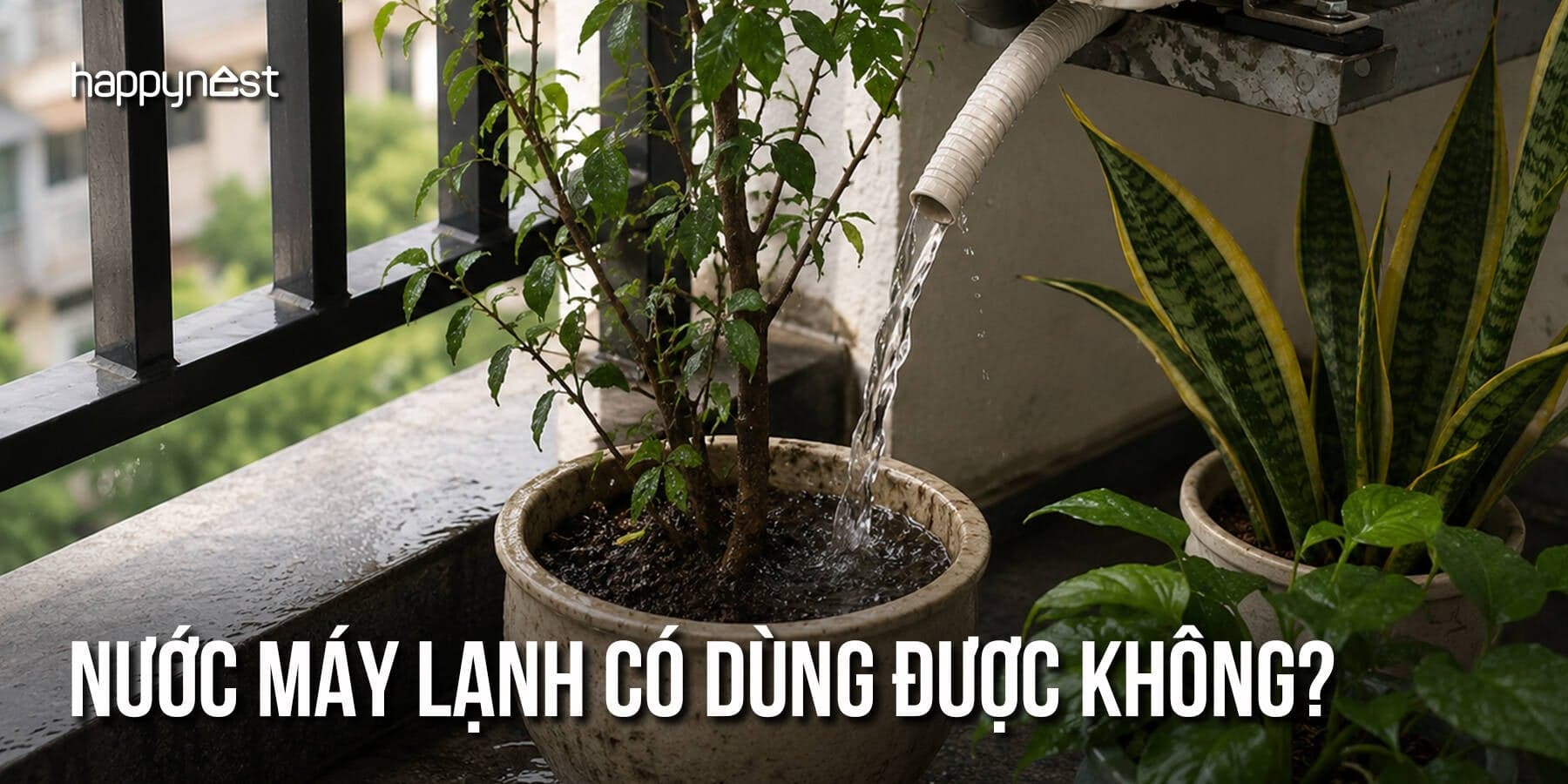 Nước chảy ra từ máy lạnh có sạch không và nên tận dụng thế nào cho đúng?