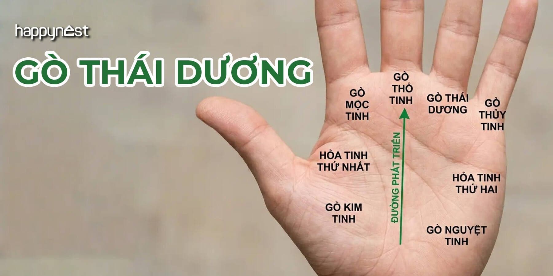 Cách xem gò Thái Dương đoán định đường công danh tài lộc theo nhân tướng học