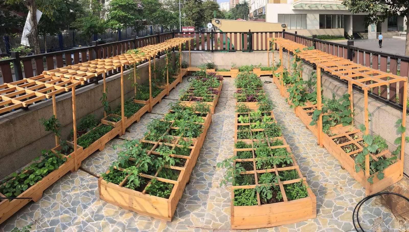 Hướng dẫn bạn cách trồng cây thủy canh – địa canh để có một vườn rau xanh mát, tươi ngon trong nhà phố, nhà diện tích nhỏ