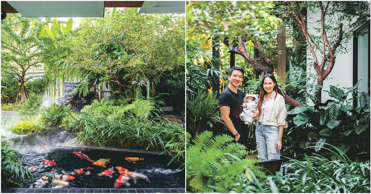 Nhà phố 65m2 tràn ngập cây xanh và tiểu cảnh, là món quà của nam gia chủ dành tặng vợ và con gái mới sinh