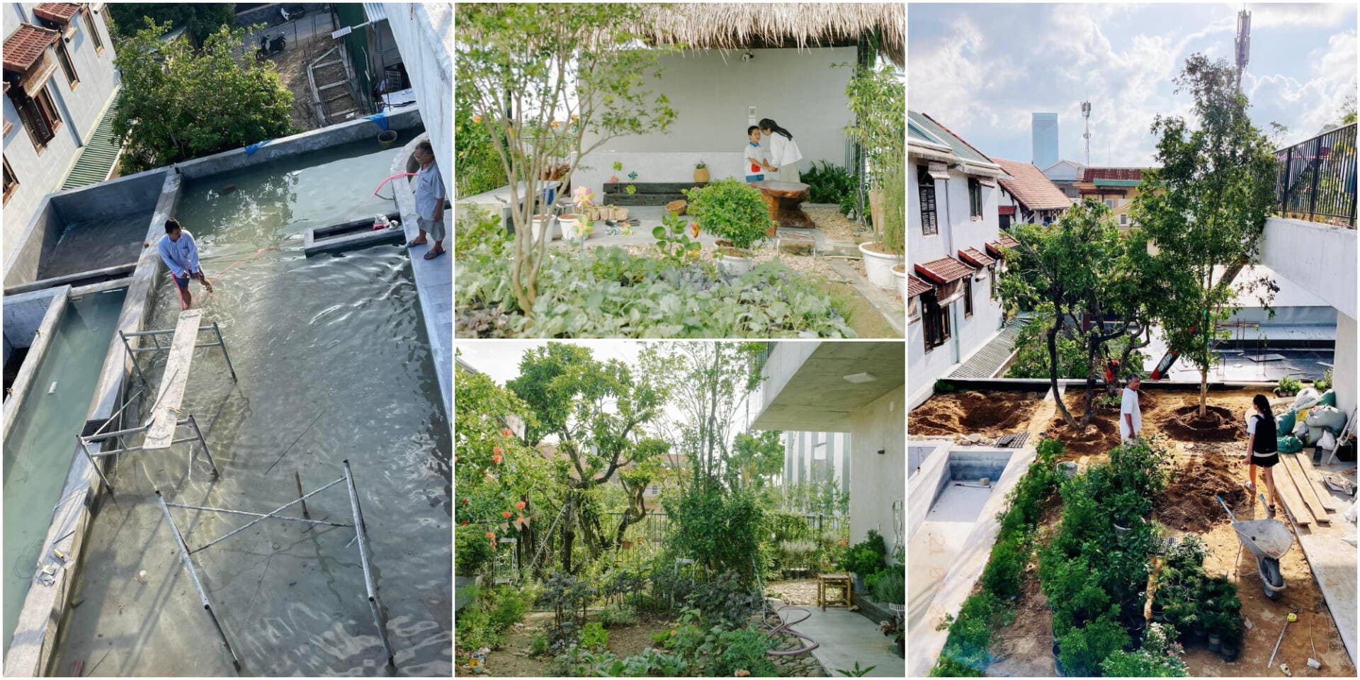 Làm thế nào để làm mái đổ đất trồng cây trên sân thượng? - Góc nhìn của kỹ sư xây dựng kiêm chủ nhà