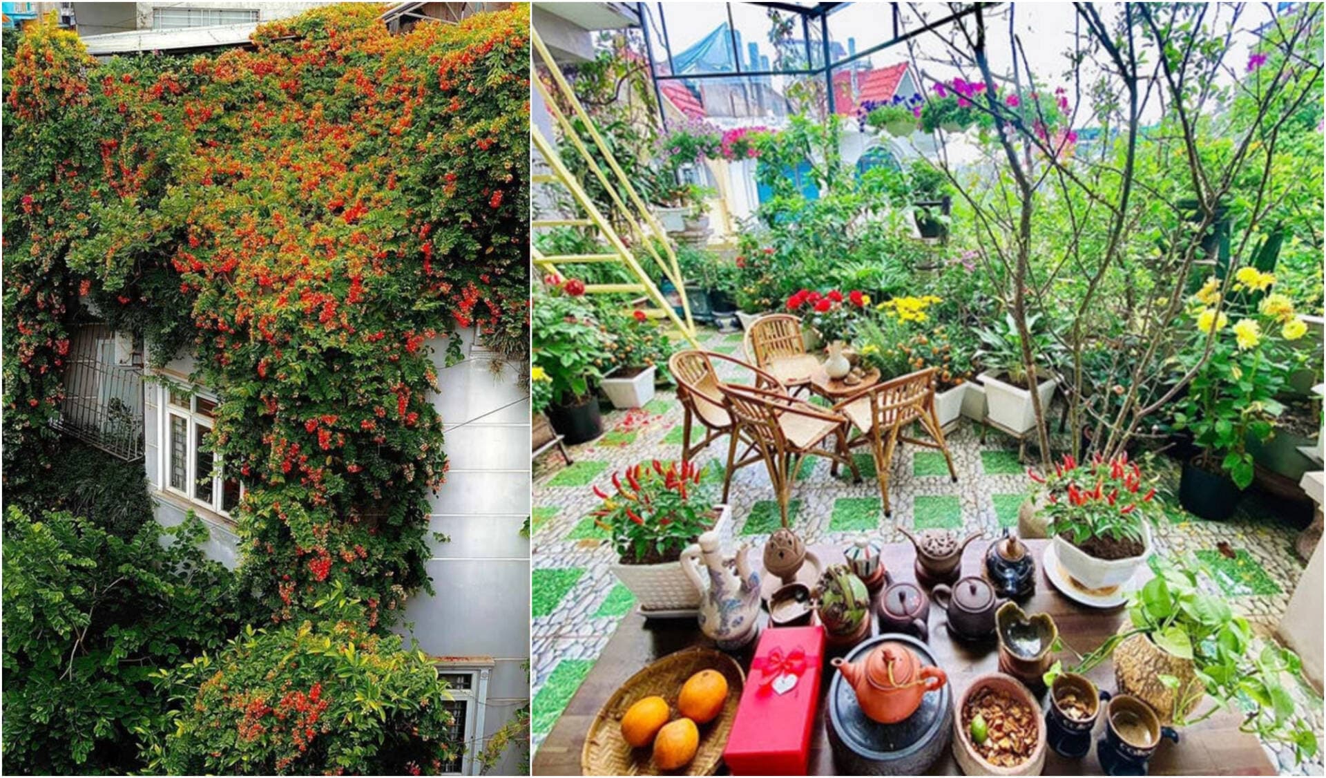 Ngôi nhà của gia chủ Hà Nội bên ngoài phủ hoa, bên trên sân thượng lung linh sắc màu