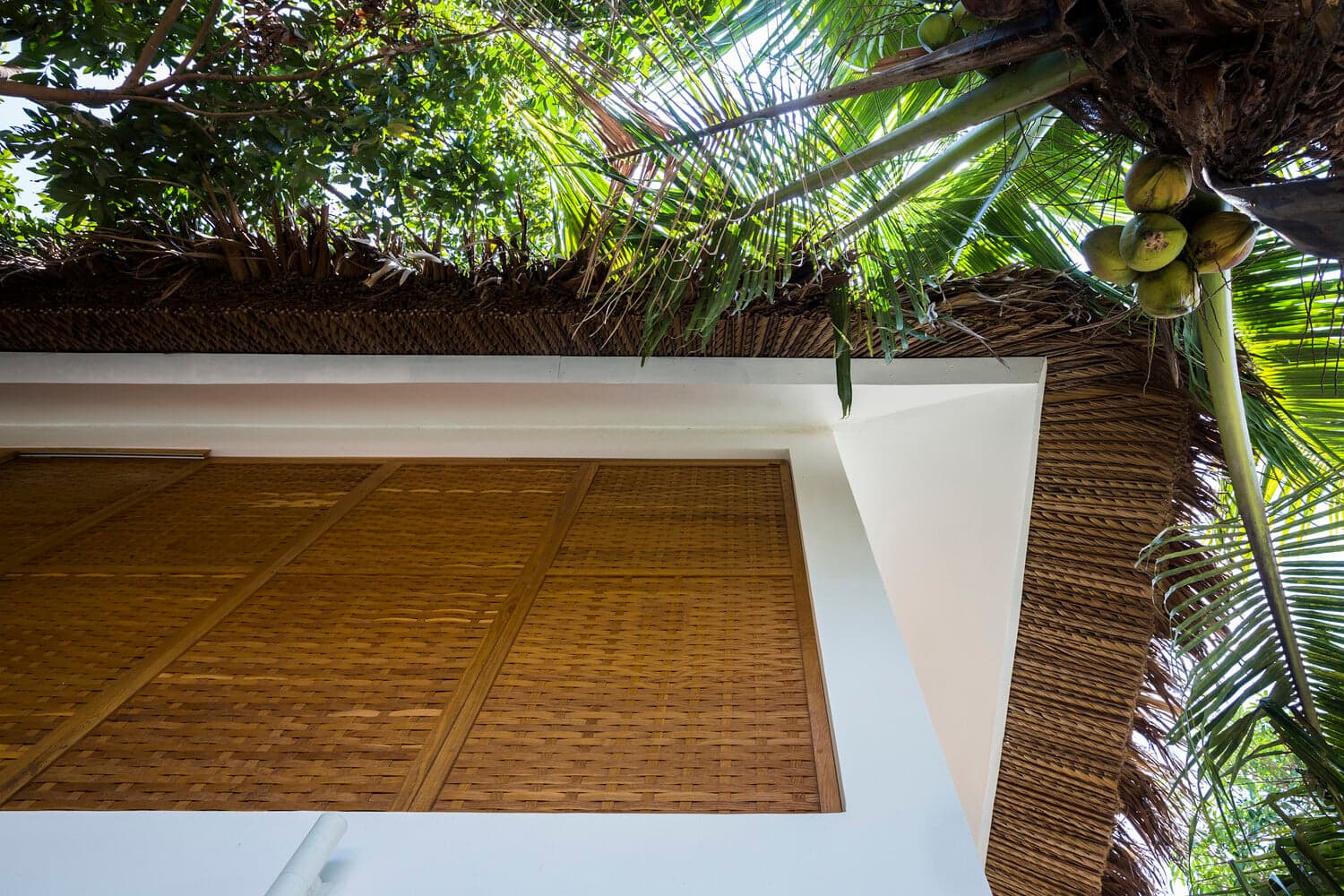 Nhà “sinh đôi” Tropical Twin Houses dành cho nhiều thế hệ giữa thiên nhiên Trà Vinh
