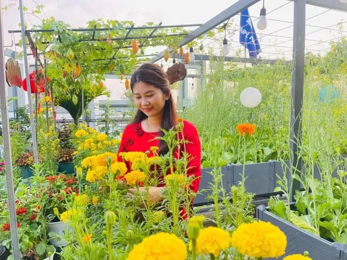 Vườn sân thượng của cô gái Đồng Nai đẹp mê hồn với hoa trái xanh tươi rực rỡ