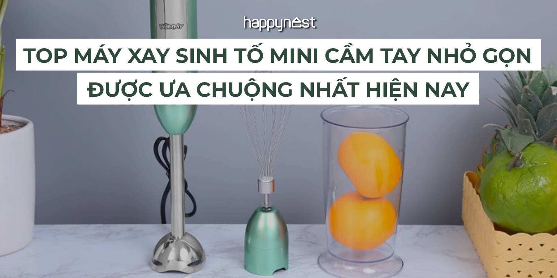 Top máy xay sinh tố mini cầm tay nhỏ gọn được ưa chuộng hiện nay