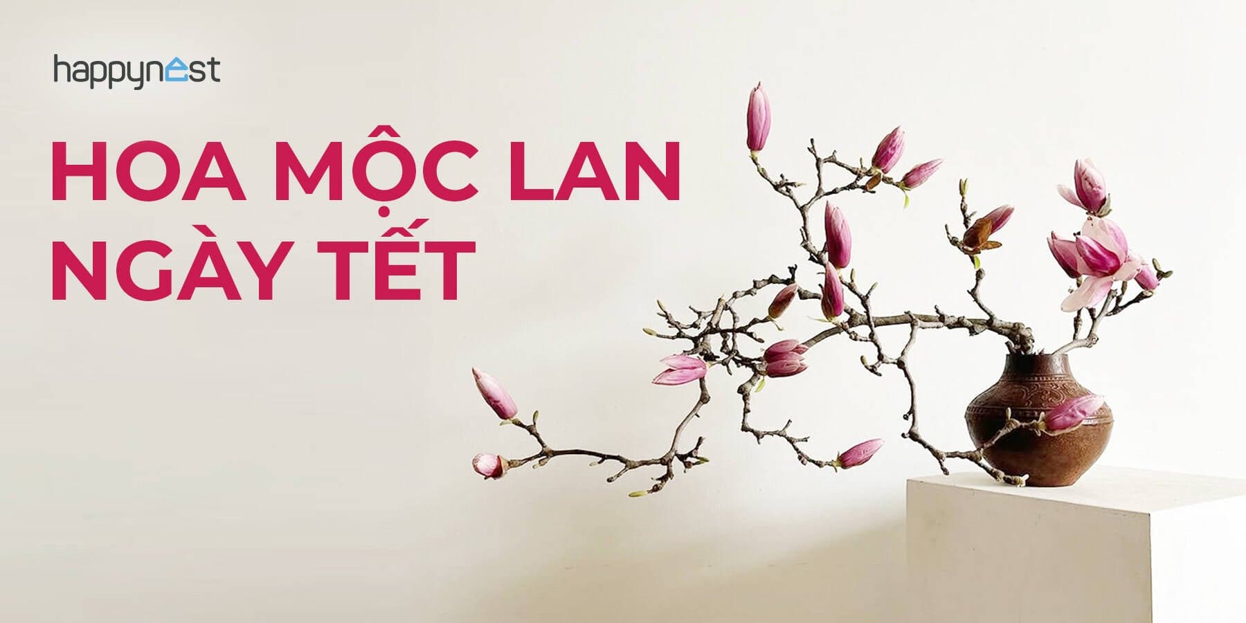 Chọn bình hoa mộc lan ngày Tết sao cho nhà sang mà không nặng nề