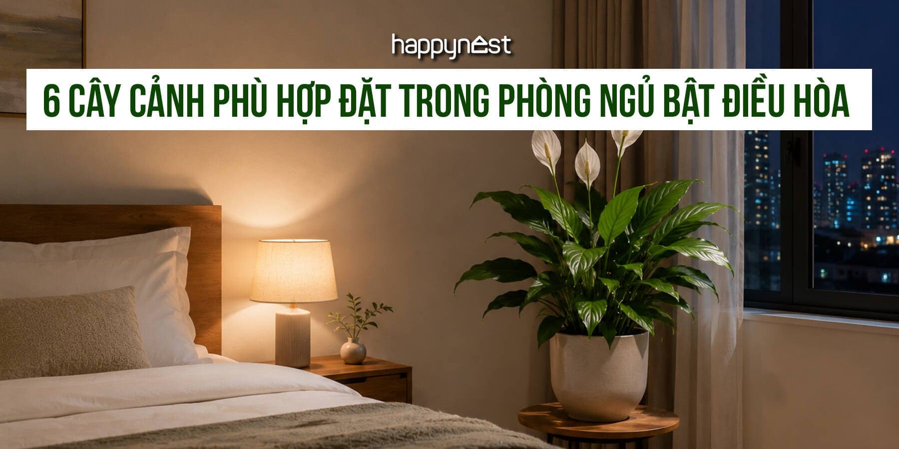 6 loại cây nên đặt trong phòng ngủ bật điều hòa để đỡ khô và dễ ngủ hơn