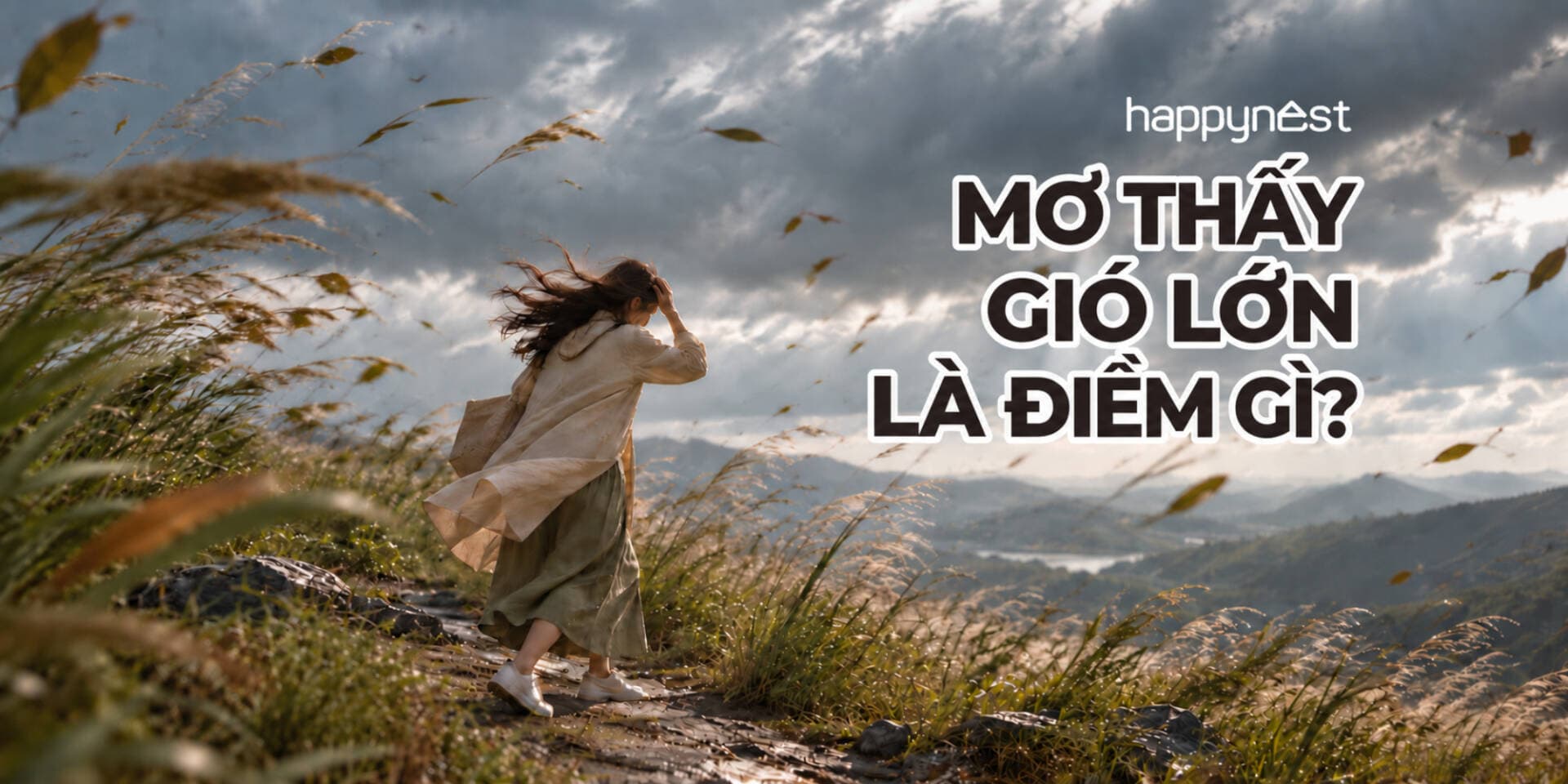 Mơ thấy gió là điềm gì? Giải mã giấc mơ gió mạnh gió lạnh
