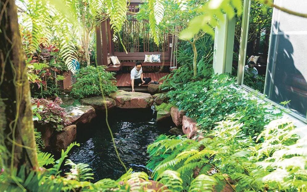 Ngôi nhà có sân vườn, ao cá, thác nước, là mơ ước gần 20 năm của gia chủ mê cây cảnh