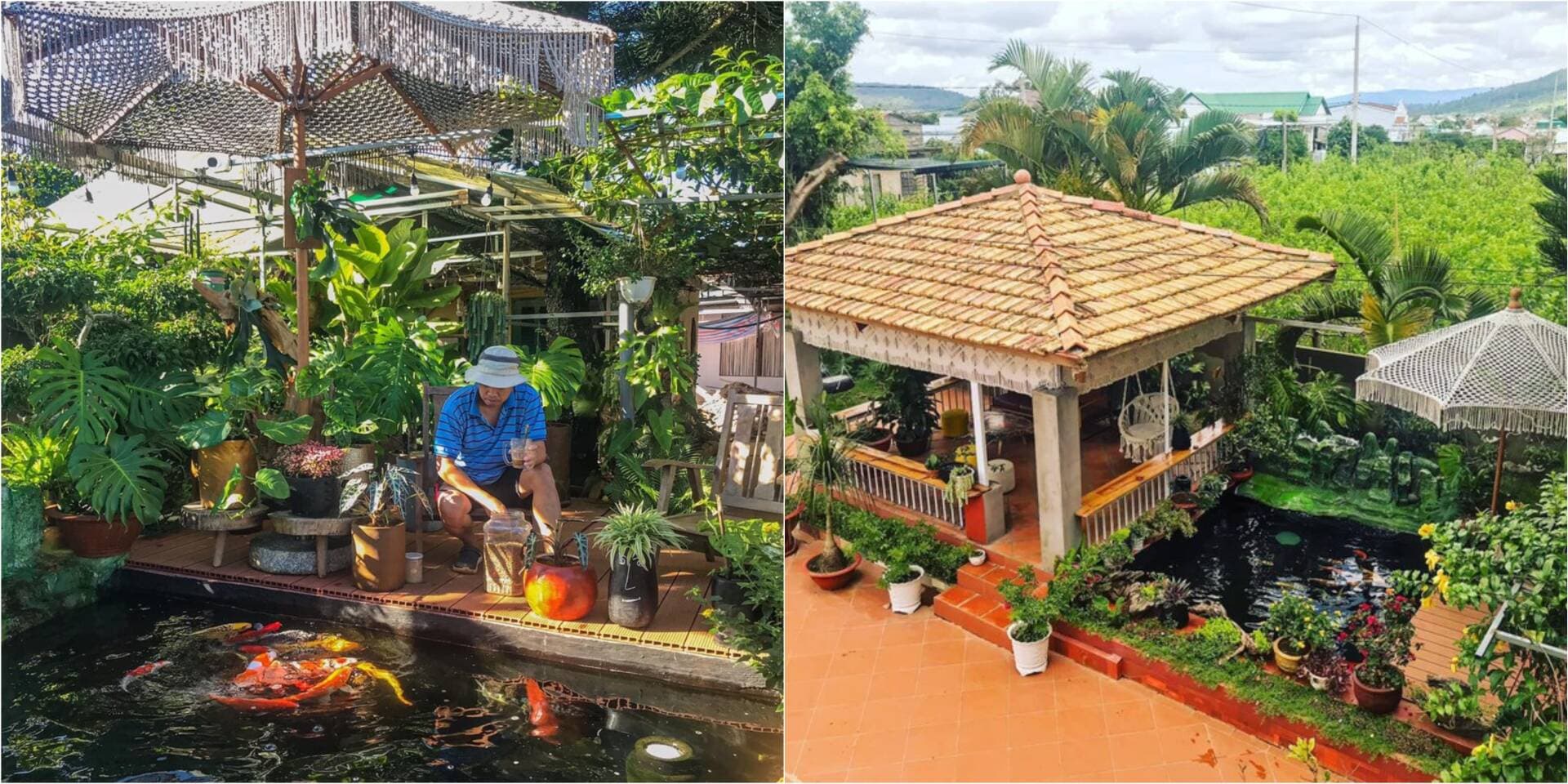 Nam gia chủ về quê xây nhà 30m2, làm vườn xanh và hồ cá Koi để mỗi sáng thức dậy đều như đi nghỉ dưỡng