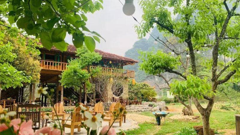 Người phụ nữ Hà Nội về thung lũng xây nhà, thu hoạch 2 tấn hồng mỗi năm