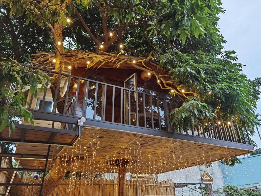 Ông bố ở Hà Nội chi trăm triệu đồng làm nhà trên cây để các con có không gian chơi đùa