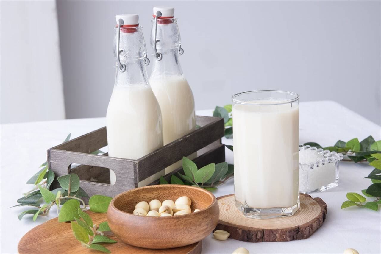 TOP 9 cách làm sữa hạt bằng máy thơm ngon, bổ dưỡng (chi tiết nhất)
