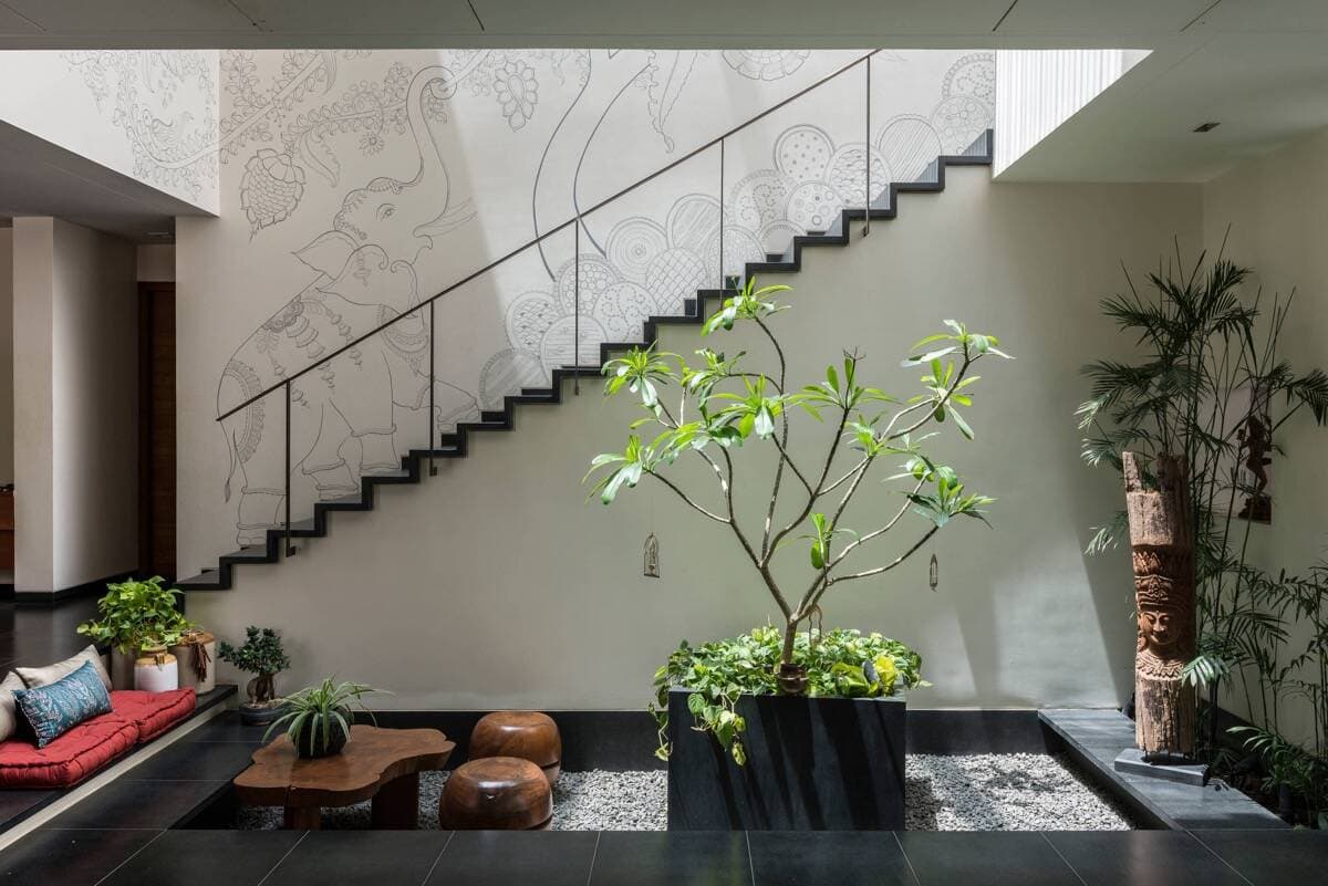 Mua cây ngày Tết về trưng và để hút tài lộc, may mắn thì gia chủ cần đặt ở 4 vị trí này