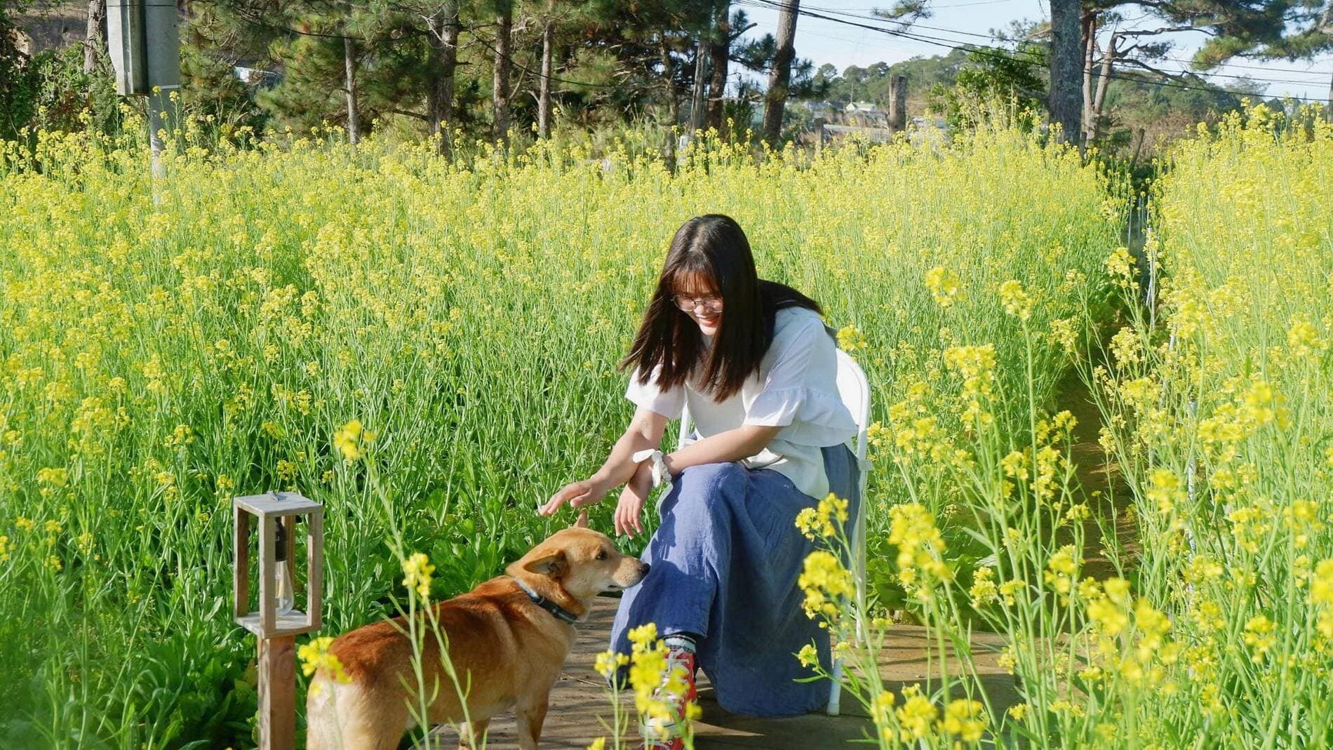 Cô gái 9x đến Đà Lạt thuê đất làm nhà vườn để tìm hiểu về cà phê