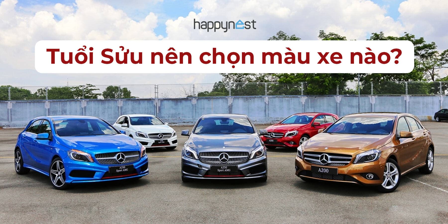 Màu xe nào giúp tuổi Sửu lái cả năm gặp may?