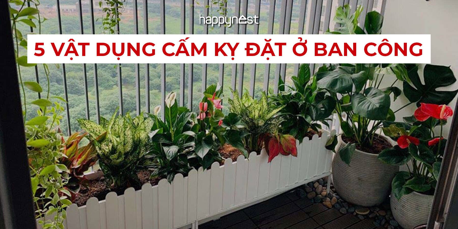 Phong thủy ban công: 5 vật dụng cấm kỵ làm tán tài, hao vận