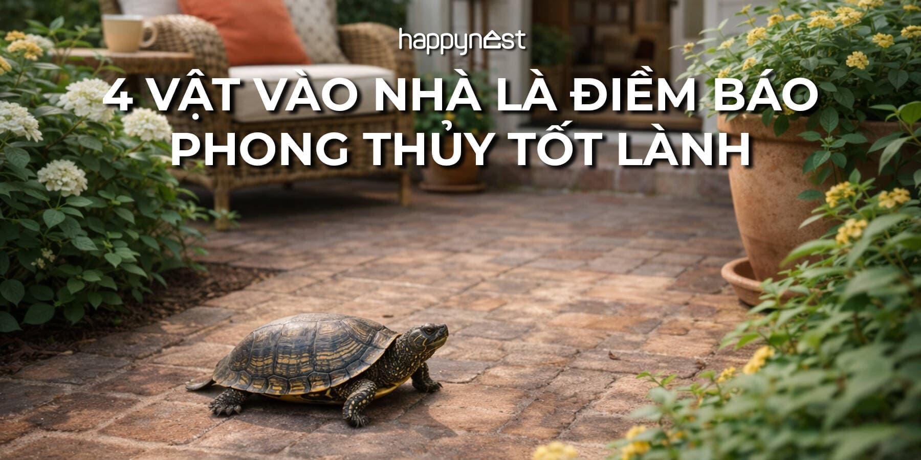 4 loài vật tự tìm đến nhà báo hiệu vận khí đang đổi chiều