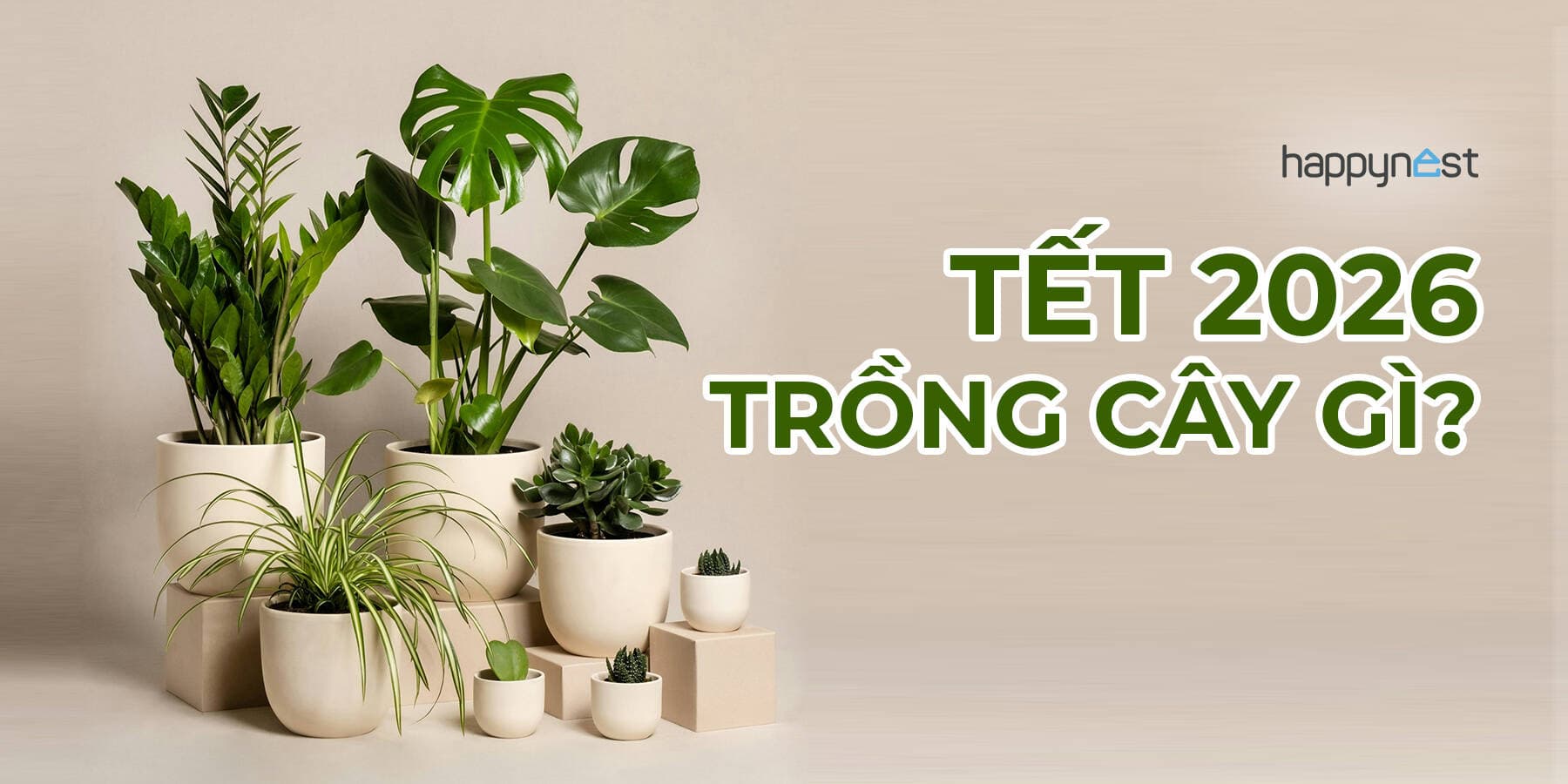 Tết 2026 nên trồng cây gì? 8 loại cây được tin là “gọi” tài lộc, giữ may mắn quanh năm